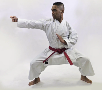 Alternative view of Perifecta Karate-Gi KATAMORI