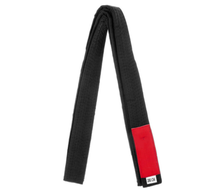 Martial Arts Belt