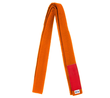 Martial Arts Belt
